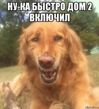 ну-ка быстро дом 2 включил 