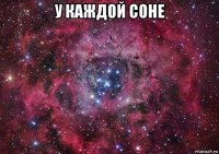 у каждой соне 