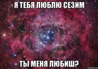 я тебя люблю сезим ты меня любиш?