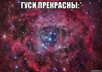 гуси прекрасны:* 