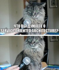 Что вы думаете о service-oriented architecture? 