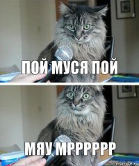 пой муся пой мяу мрррррр