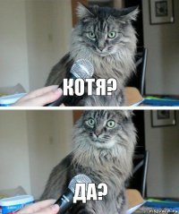 котя? да?