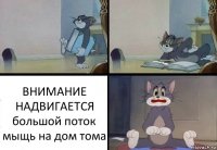 ВНИМАНИЕ НАДВИГАЕТСЯ большой поток мыщь на дом тома