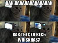 как,кааааааааааааак как ты сел весь whiskhas?