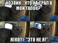 хозяин: "кто на срал в мой тапок?" я(кот): "это не я!"