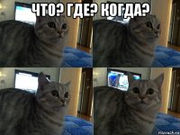 что? где? когда? 