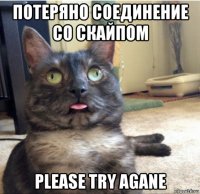 потеряно соединение со скайпом please try agane