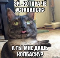 эй ..котяра чё уставился? а ты мне дашь колбаску?