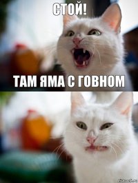 стой! там яма с говном