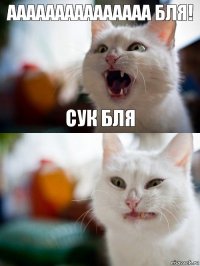 ааааааааааааааа бля! сук бля