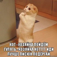  кот--хозяйка пойдём гулять--хозяйка нетттт иди лучше писюн подёргай