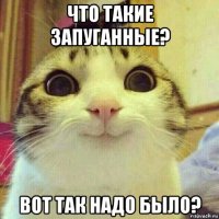 что такие запуганные? вот так надо было?