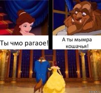 Ты чмо рагаое! А ты мымра кошачья!