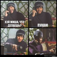 Хэй Миша, что делаешь? Пукаю  