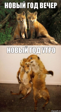 новый год вечер новый год утро