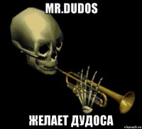 mr.dudos желает дудоса