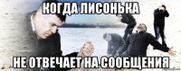 когда лисонька не отвечает на сообщения