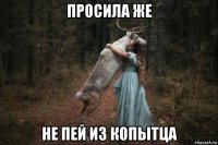 просила же не пей из копытца