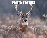 ебать ты лох 