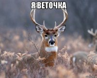 я веточка 