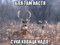 бля там настя сука ховаца надо!