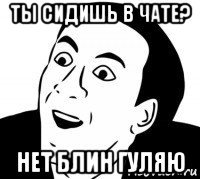 ты сидишь в чате? нет блин гуляю