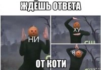 ждёшь ответа от коти