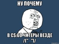 ну почему в cs:go читеры везде /("_")/