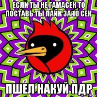 если ты не гамасек то поставь ты лайк за 10 сек пшел накуй пдр