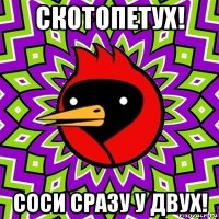 скотопетух! соси сразу у двух!