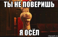 ты не поверишь я осёл