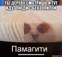 ты дерево смотришь и тут идут люди с бензопилой ...................