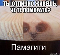 ты отлично живёшь, чё те помогать? 