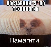 поставили "5" по технологии 