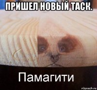 пришел новый таск. 