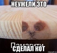 неужели это сделал кот