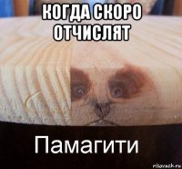 когда скоро отчислят 