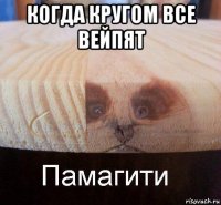 когда кругом все вейпят 