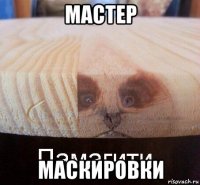 мастер маскировки