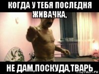 когда у тебя последня живачка, не дам,поскуда,тварь