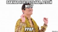 важная контрольная, а твой мозг ppap