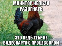 монитор нельзя разогнать это ведь тебе не видеокарта с процессором