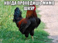 когда проходишь мимо шкур 