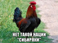  нет такой нации "сибиряки"