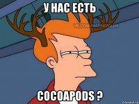 у нас есть cocoapods ?