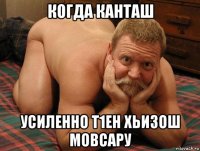 когда канташ усиленно т1ен хьизош мовсару