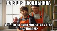 слышь насяльника а чё это за змея мохнатая у тебя под носом?