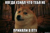 когда узнал что тебя не приняли в пту