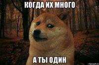 когда их много а ты один